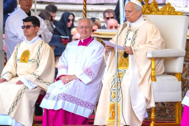 Papal Audience with Guide and Priority Entry