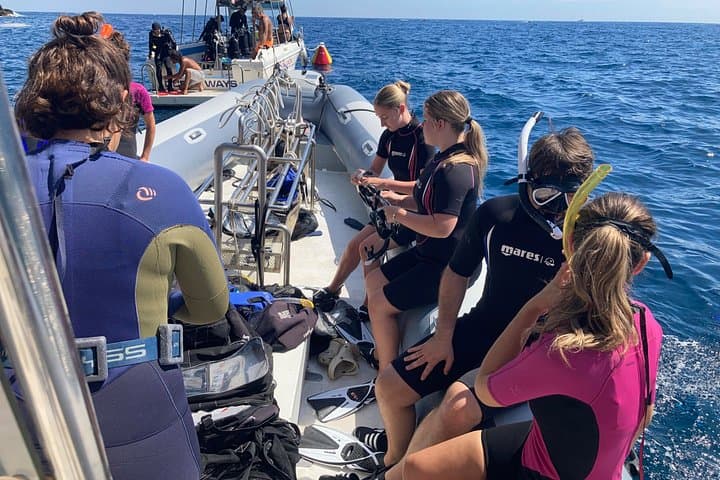 Snorkeling Boat Trip in the Portofino Marine Protected Area