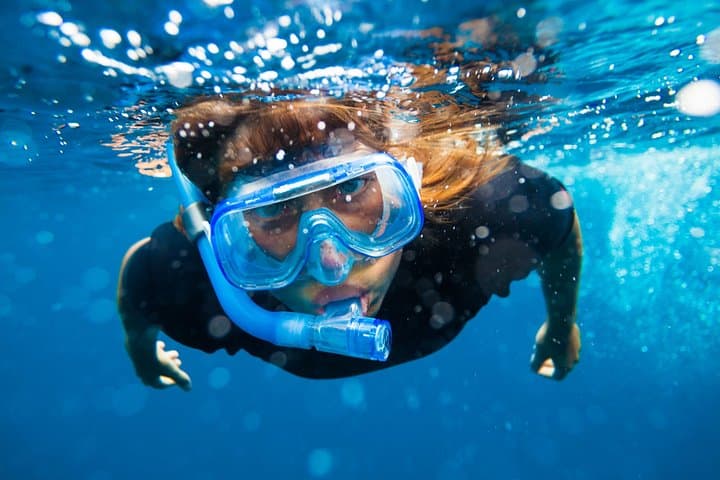Snorkeling Boat Trip in the Portofino Marine Protected Area