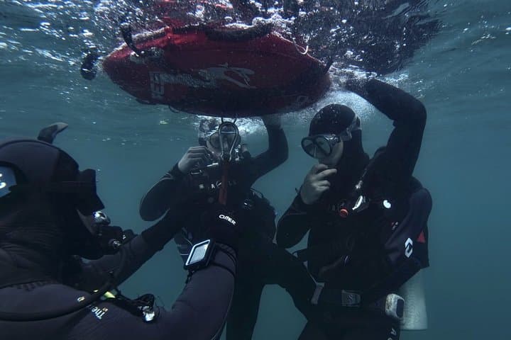 Discover Scuba Diving in the Bay Submerged Park