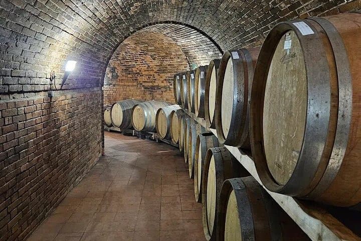 Radda in Chianti: Wine Tasting, Cellar Tour & Tuscan Lunch