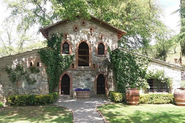 Radda in Chianti: Wine Tasting, Cellar Tour & Tuscan Lunch