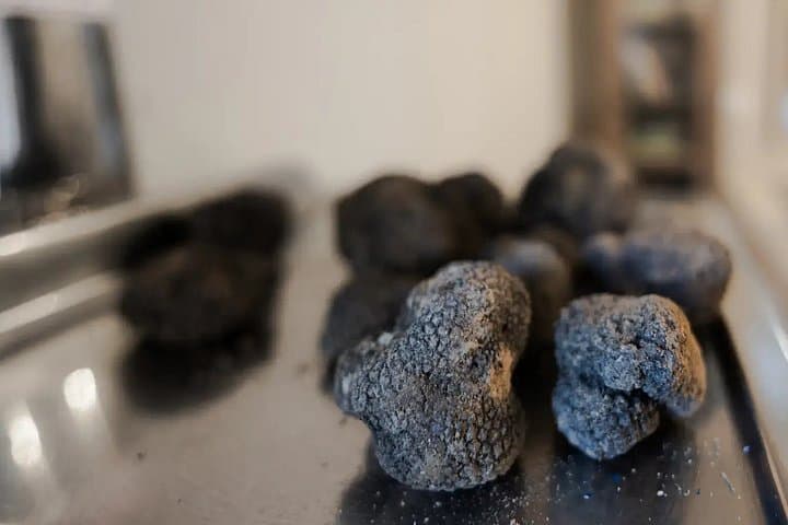 Truffle Hunting Gourmet Lunch and Overnight at Tenuta Valdea