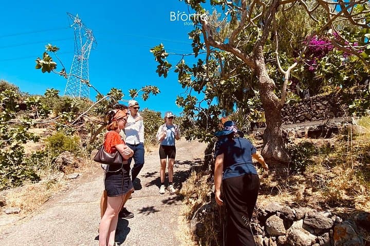 Tour and Tasting at an Old Bronte Pistachio Farm