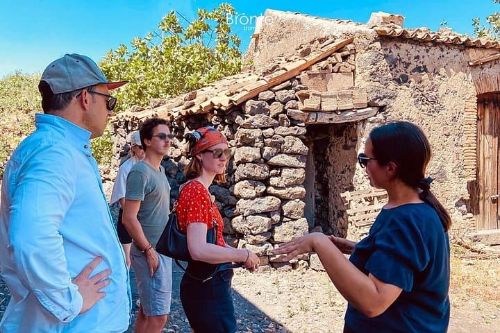 Tour and Tasting at an Old Bronte Pistachio Farm