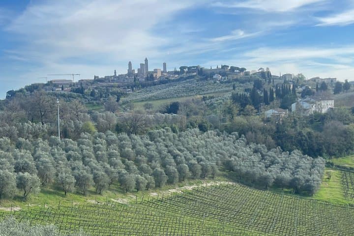 Wine, Gelato & Cheese in San Gimignano from Florence [MAX 8pp]