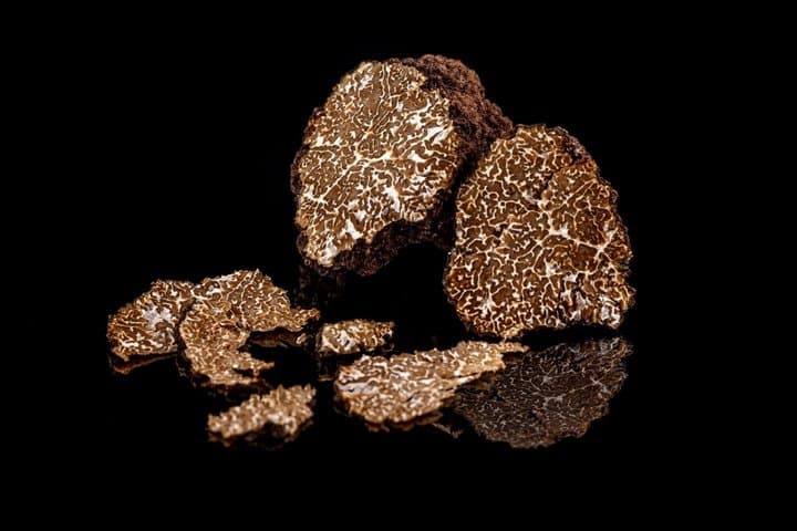 Truffle Trail and a Taste of Tuscany