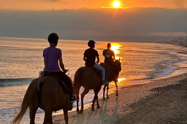 Horseback riding on the beach of Castellammare del Golfo