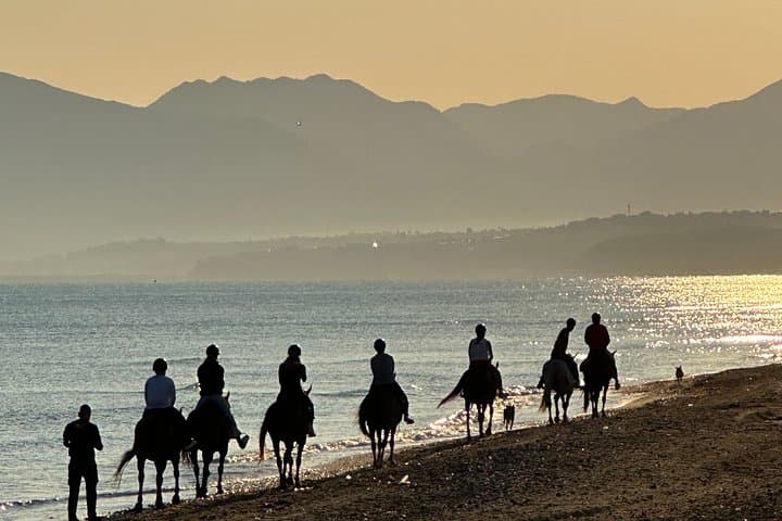 Horseback riding on the beach of Castellammare del Golfo
