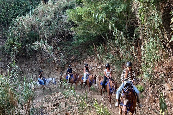 Horseback riding on the beach of Castellammare del Golfo