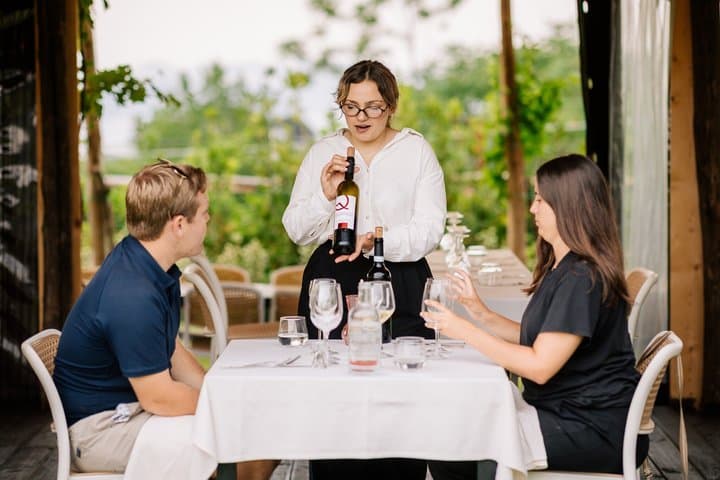 From Rome to Pompei: High-Speed Train, Guided Tour, Winery Lunch!