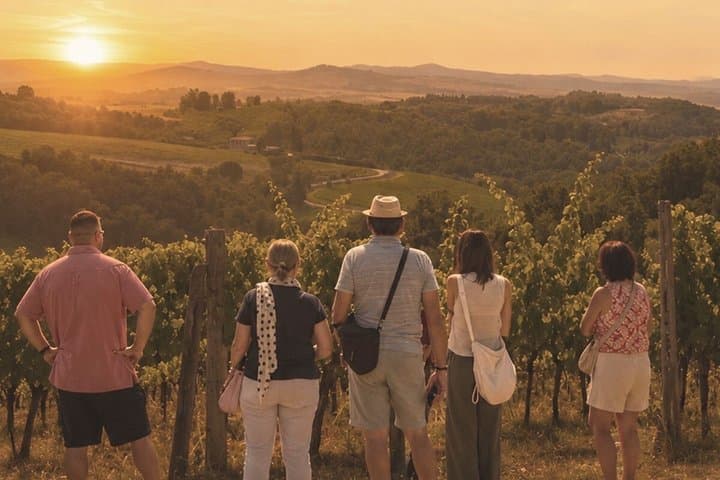 Siena: Chianti Sunset Tour with Dinner & Wine Tasting