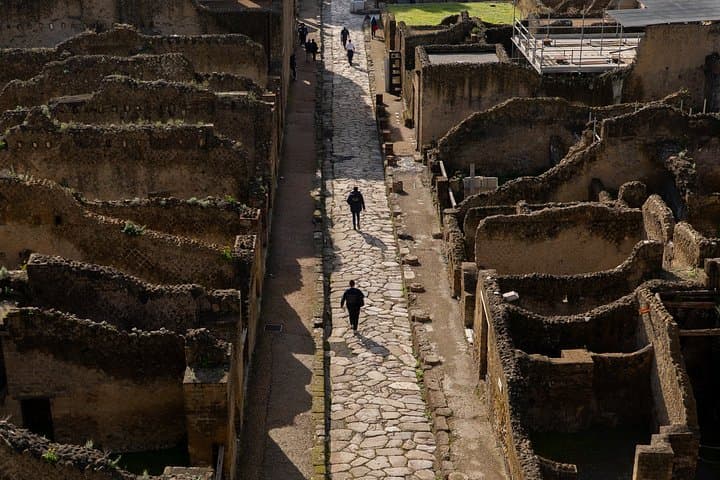 Herculaneum: skip the line entry ticket (art) + audioguide & map