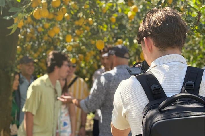 Sorrento: Lemon Grove Visit & Limoncello Tasting