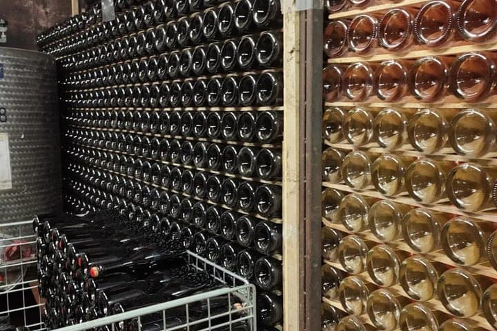 Tasting with winery visit in the heart of Franciacorta