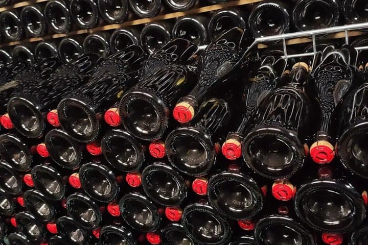 Tasting with winery visit in the heart of Franciacorta