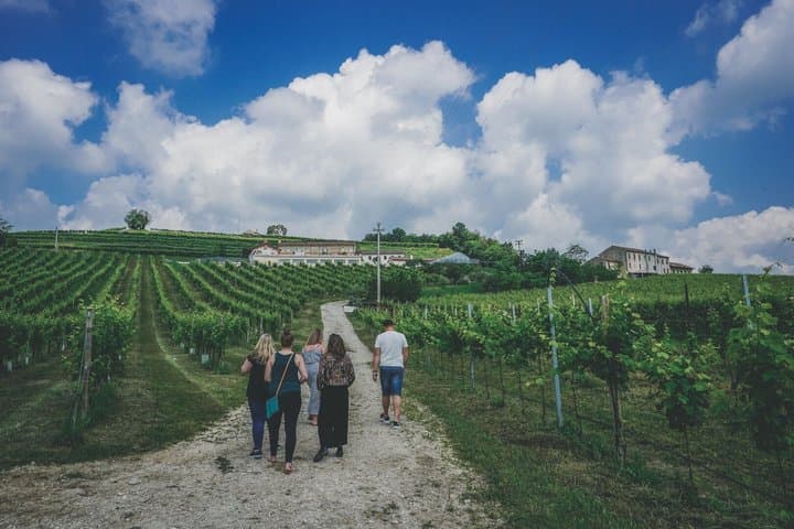 From Venice: Prosecco Wine Region Tour with 2 Tastings