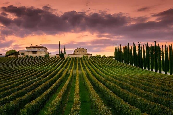 from Rome Montepulciano and Montalcino, the Wine Routes