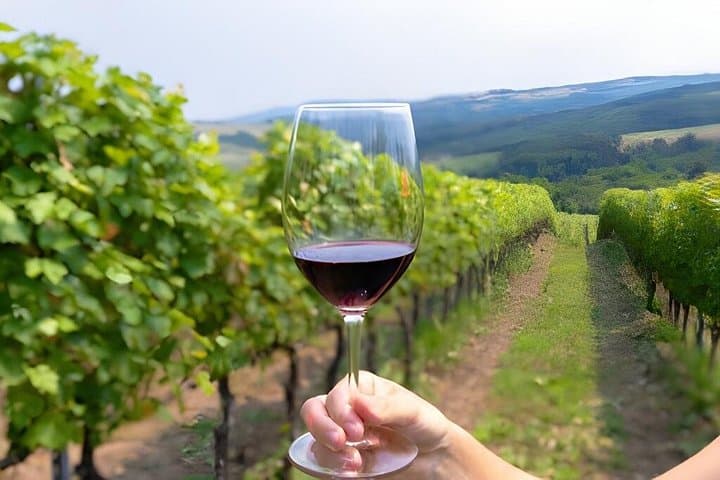 from Rome Montepulciano and Montalcino, the Wine Routes