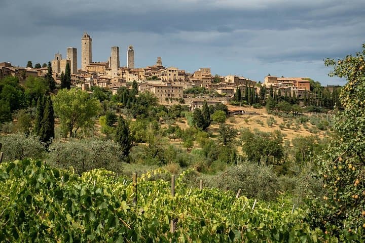 Private Wine Tour in Chianti Chianti Classico from Florence
