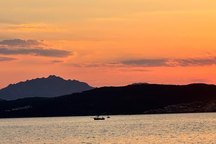 Golfo Aranci tour 3h private sailboat dolphins and aperitif