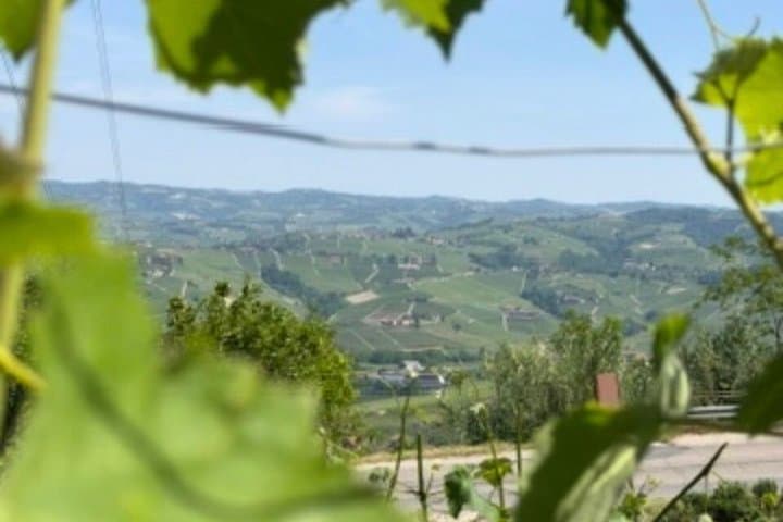 Private Wine Tour · Barolo beyond the crowds · From Milan