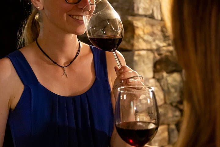 Domaso: Wine Tasting at the Winery on Como Lake