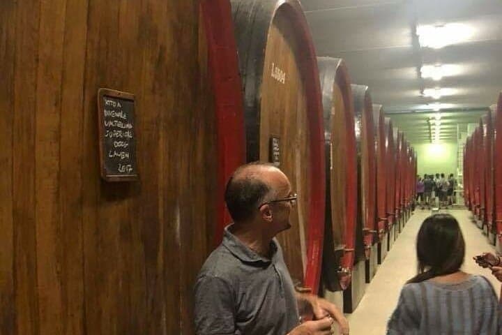 Private Wine Tour: Terraced Vineyards with Alpine view from Milan