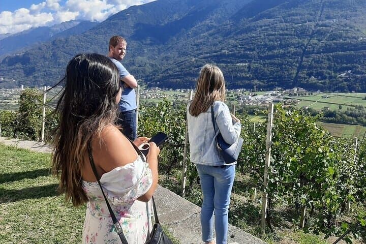 Private Wine Tour: Terraced Vineyards with Alpine view from Milan