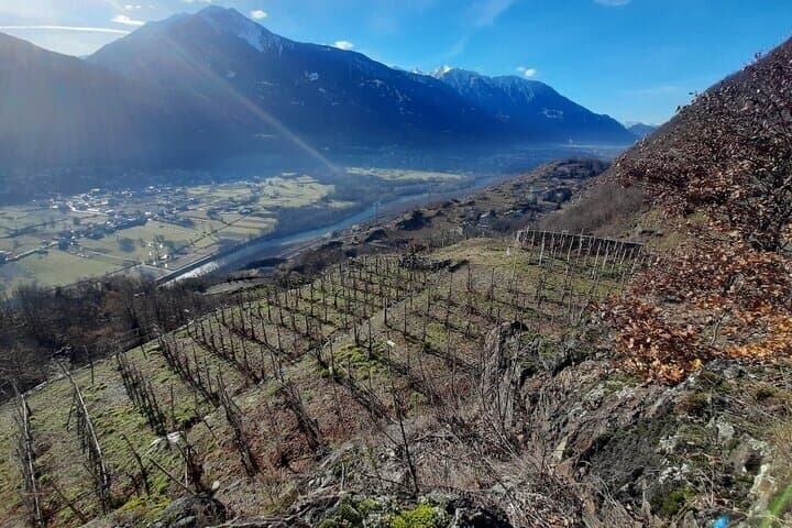 Private Wine Tour: Terraced Vineyards with Alpine view from Milan