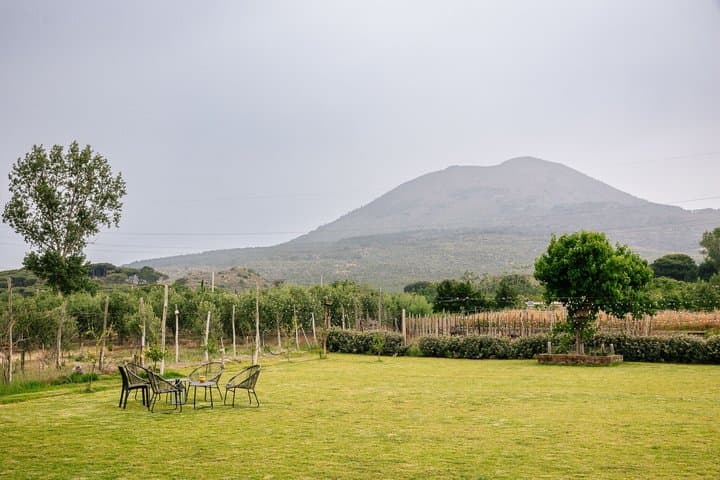 From Rome to Pompei: High-Speed Train, Guided Tour, Winery Lunch!