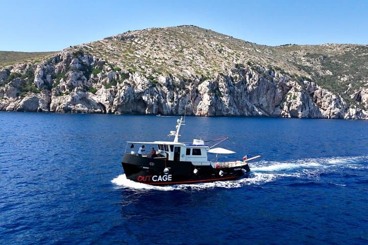 Golfo Aranci private tour 3h: dolphins, aperitif and historic yacht