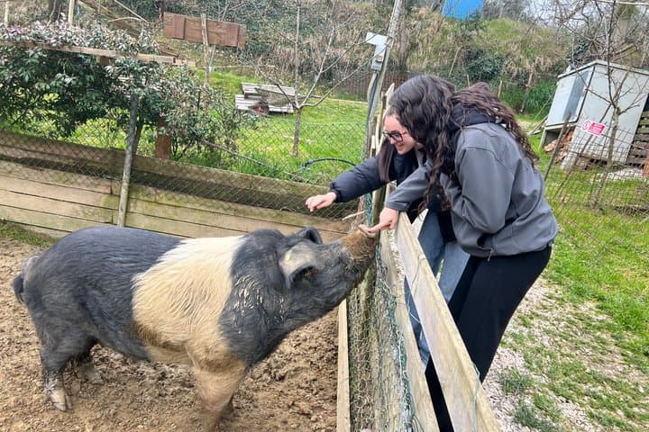 Visit to the Farm with Tasting of Cold cuts and bruschetta