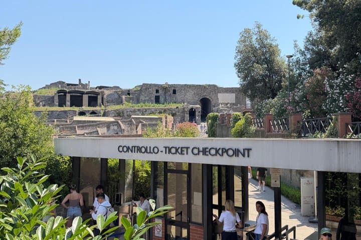 Pompeii Archaeological Private Tour from Naples