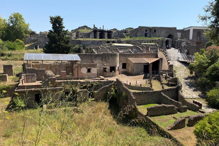 Pompeii Archaeological Private Tour from Naples