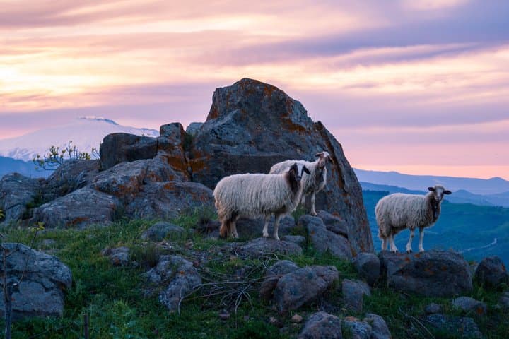 Photographic Adventure of Sicilian Landscapes