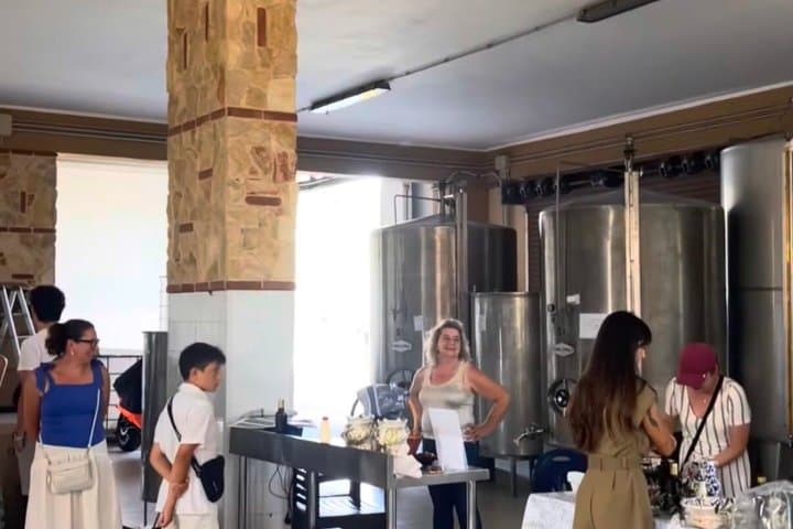 visit to the oil mill and mill
