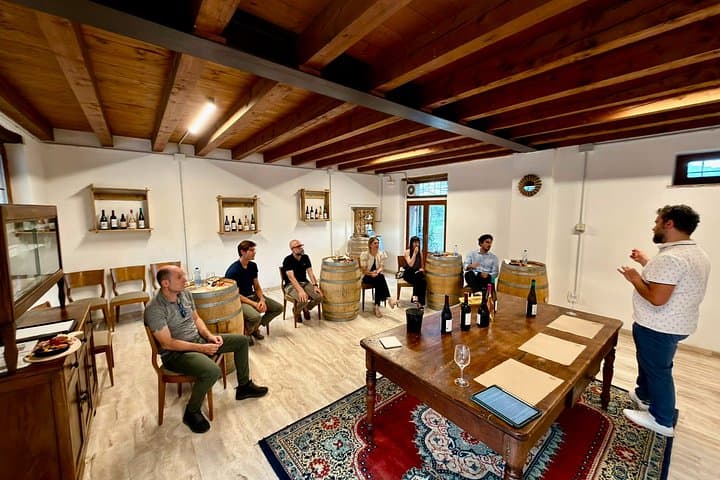 Vineyard Tour and 5 Wine Tasting in the Bardolino Hills