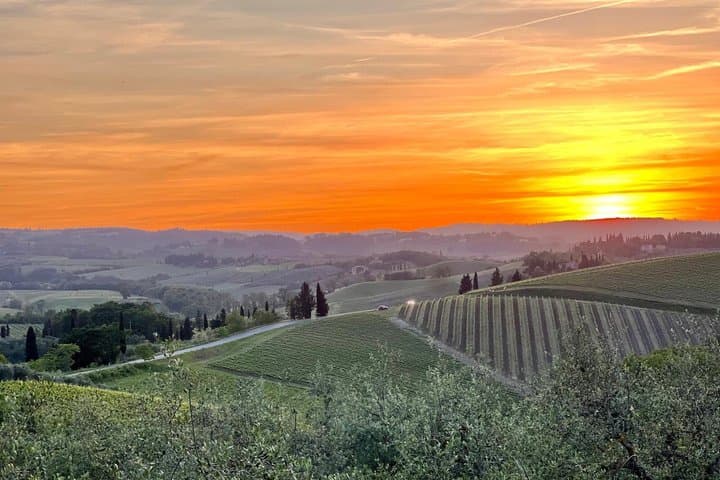 Chianti Sunset Tour Wine Tasting and Dinner in Tuscany
