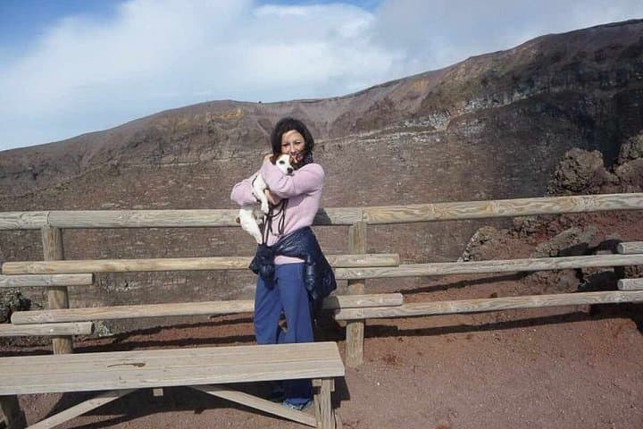 Naples to Pompeii & Mount Vesuvius Skip-the-Line Tour with Tickets