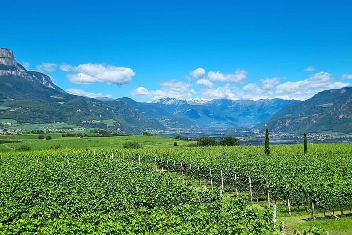 Bolzano Vineyards and Lakes MTB or eBike Tour
