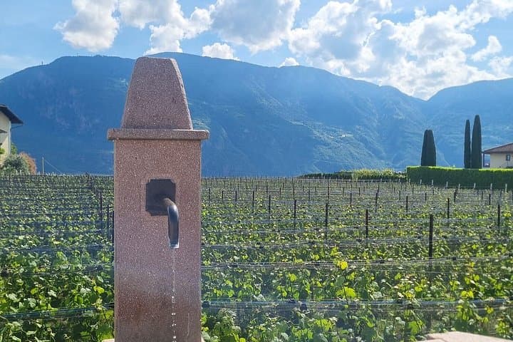 Bolzano Vineyards and Lakes MTB or eBike Tour