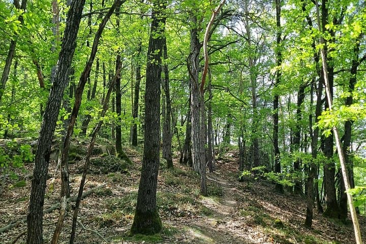 Bolzano Vineyards and Lakes MTB or eBike Tour