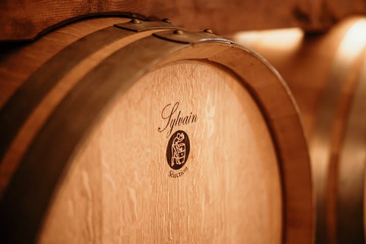 100 Garganega in the Soave Classic Guided Tour and Wine Tasting