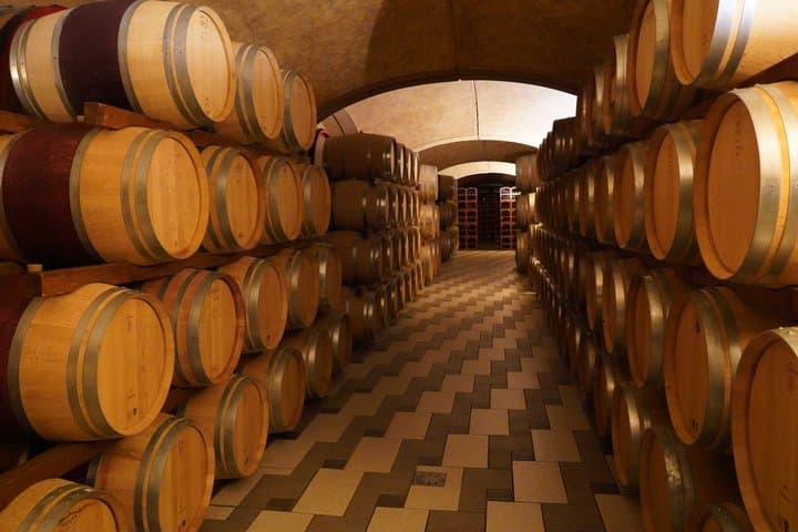 100 Garganega in the Soave Classic Guided Tour and Wine Tasting