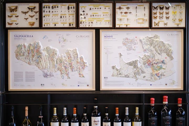 Wine Tasting Experience Between Soave Valpolicella and Lessini Durello