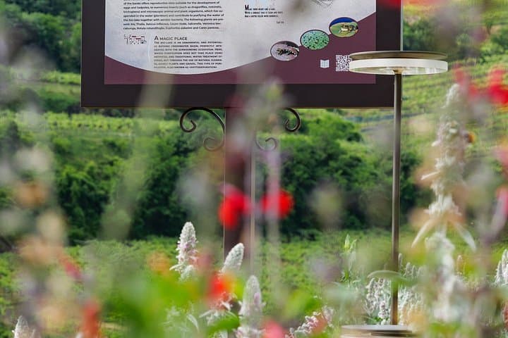 Experience in Nature in the Educational Farm in Soave