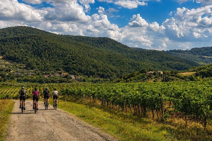 Chianti Rufina: ebike tour virtual-guided