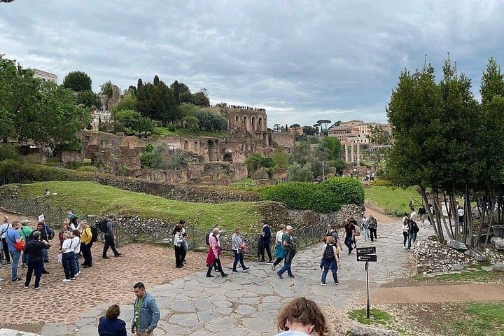 Colosseum Exterior Walking Tour and Roman forum and Palatine Hill