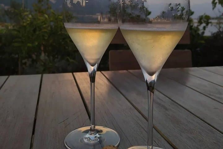Wine tasting in Franciacorta with boat ride on Lake Iseo